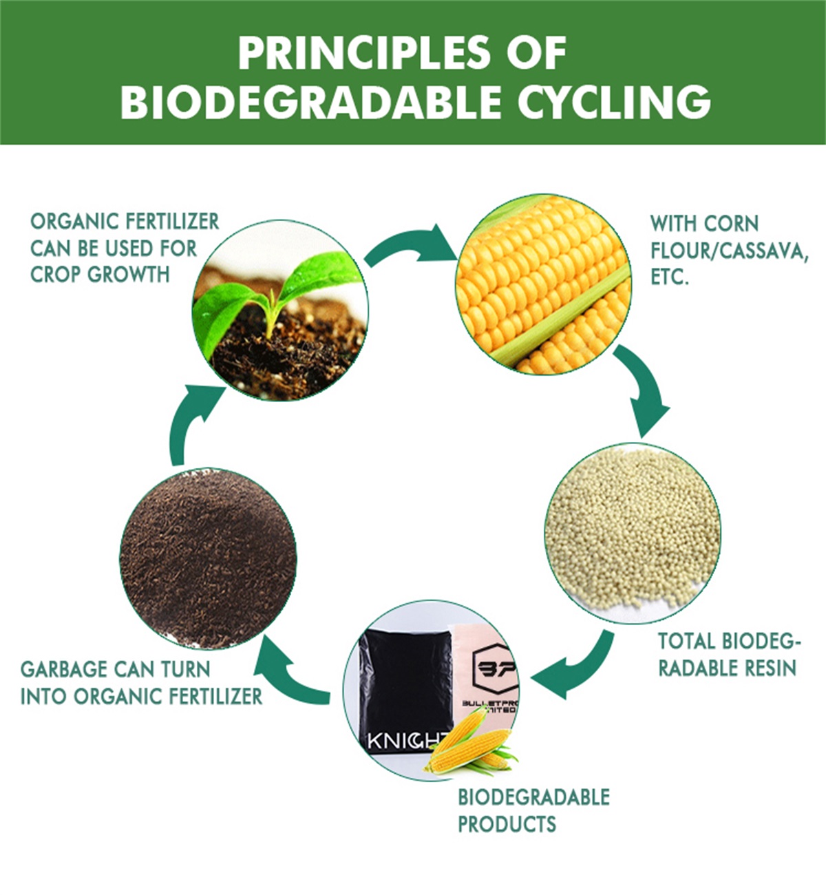 Ny fitsipiky ny fitaovana biodegradable