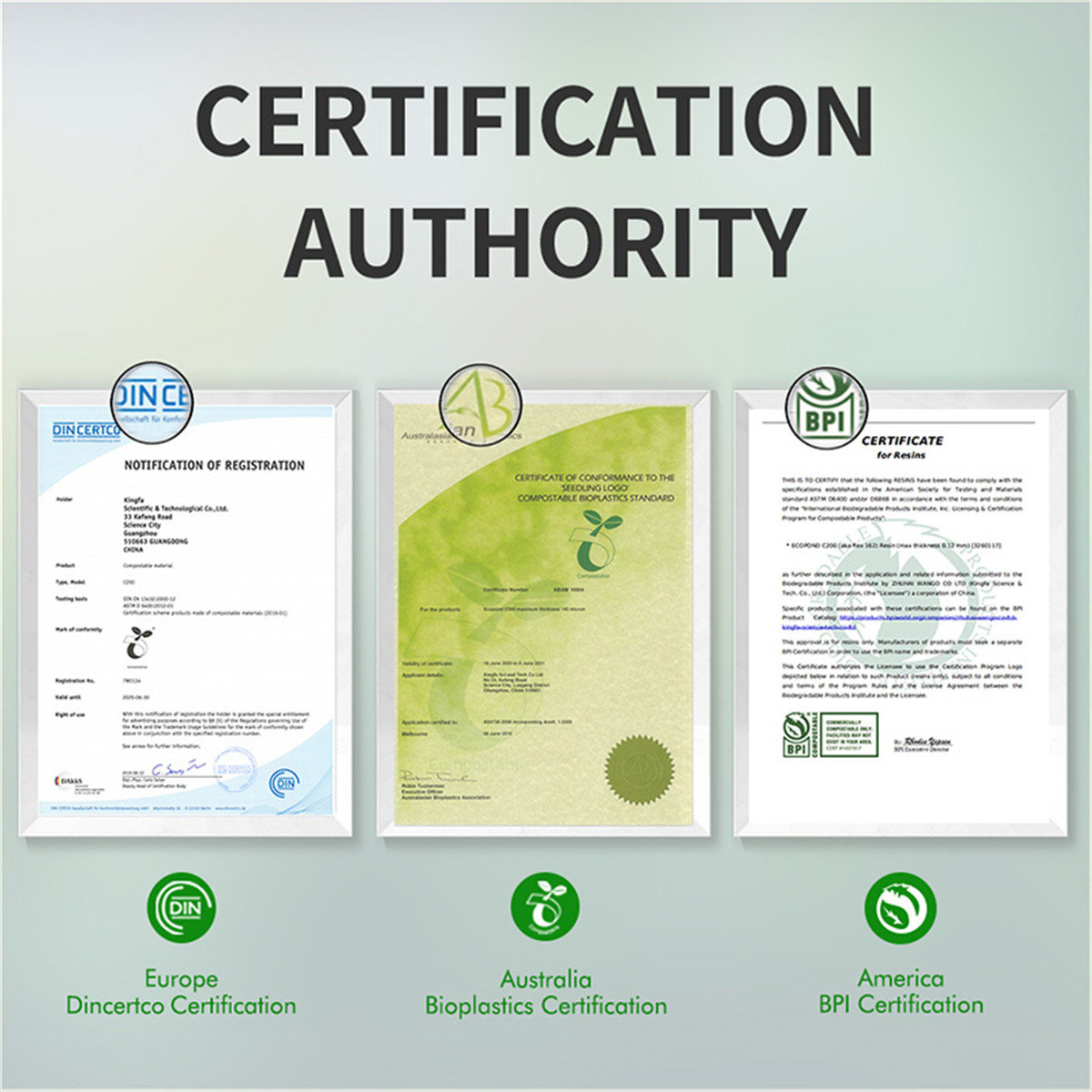 certificado (2)