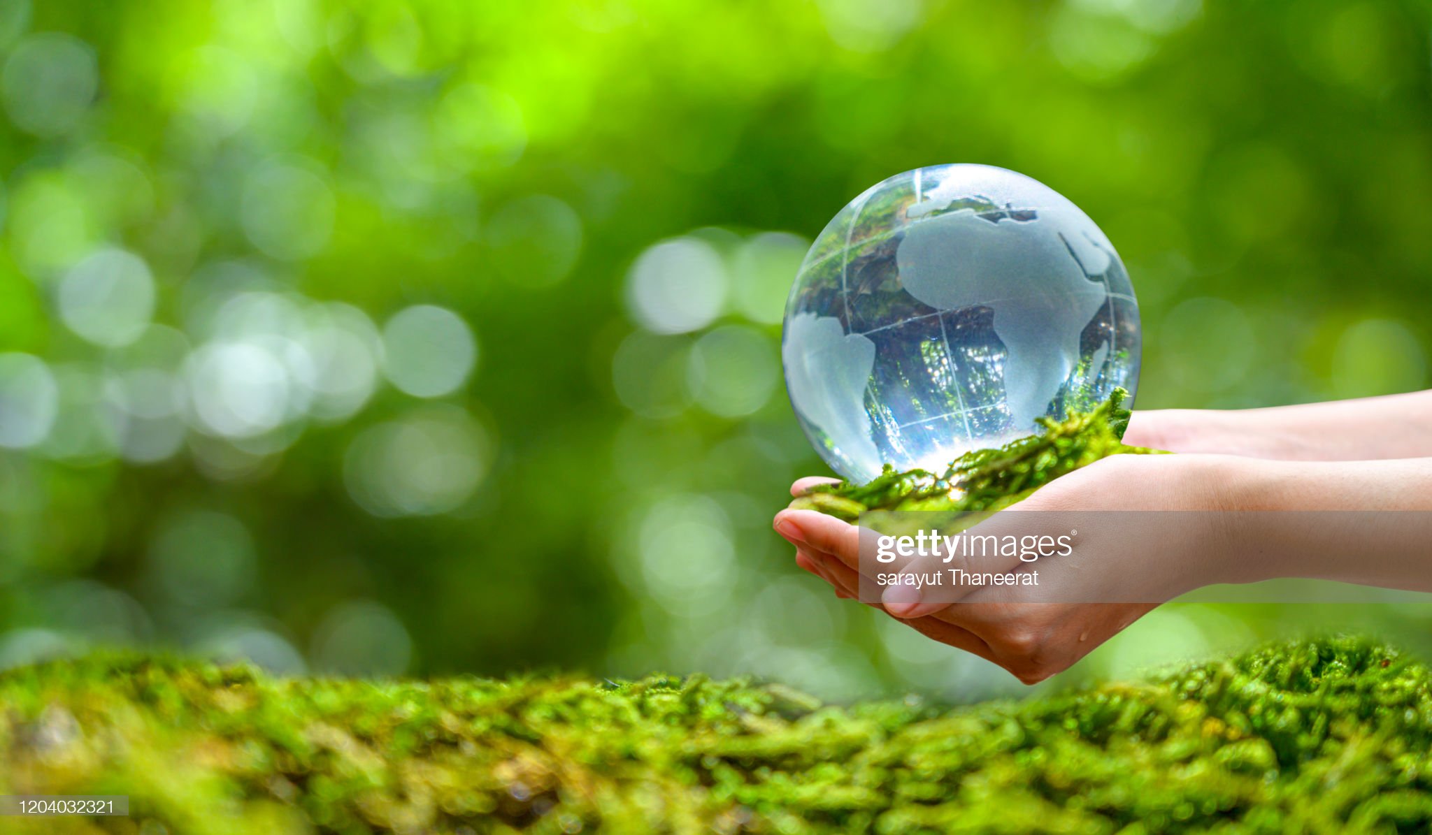 Koncept Save the world spasi okoliš Svijet je u travi zelene bokeh pozadine
